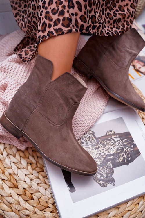Жіночі чоботи на плоскій каблуці Cappuccino Dark Nicole 2419
