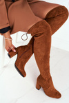 Жіночі високі чоботи Suede Camel Highso