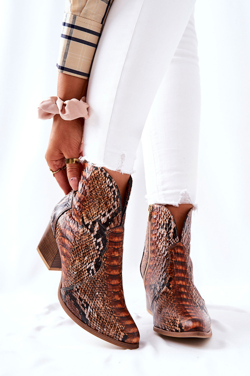 Ковбойські черевики Lewski коричневого кольору зі змією EV28