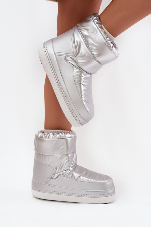 Жіночі зимові чоботи O'NEILL LISA CHELSEA WOMEN MID 90253013.01T Сріблясті