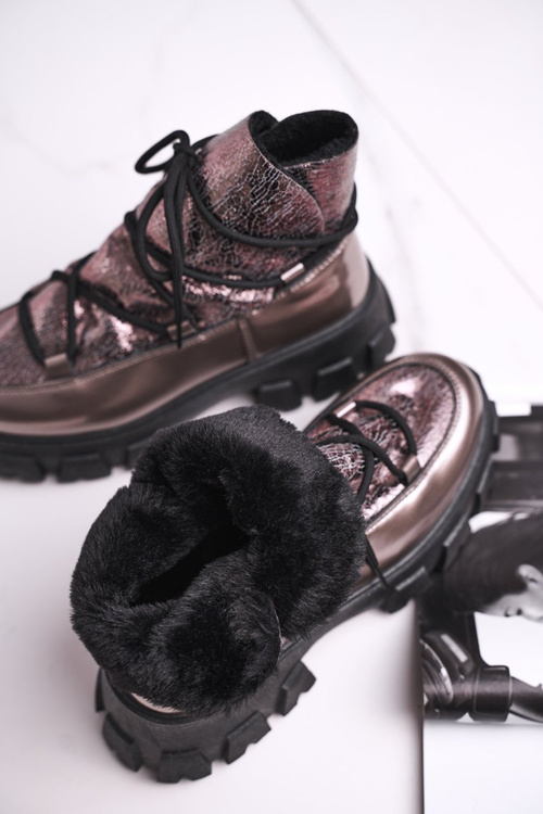 Жіночі чоботи Silver Rochelle