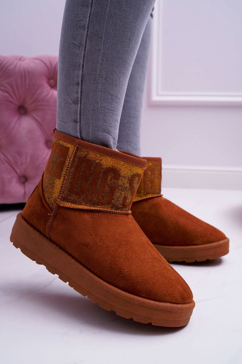 Жіночі чоботи Snow Boots Утеплені коричневі Big Star EE274259