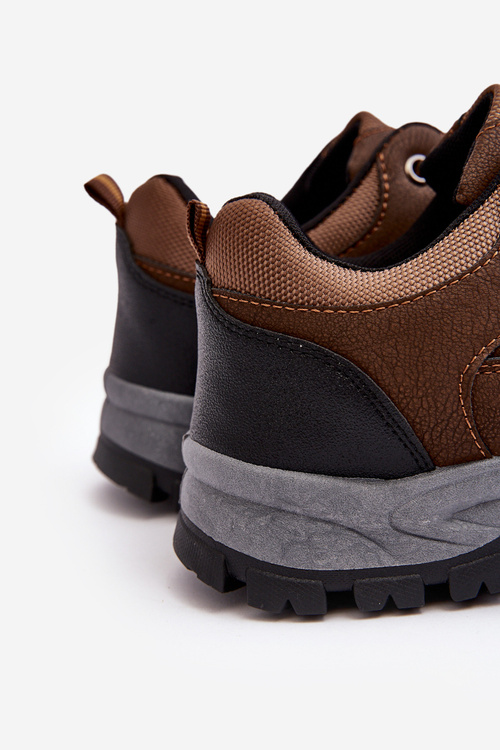 Чоловіче спортивне трекінгове взуття коричневого кольору Alveze