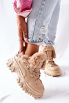 Чоботи жіночі утеплені бежеві лімерик
