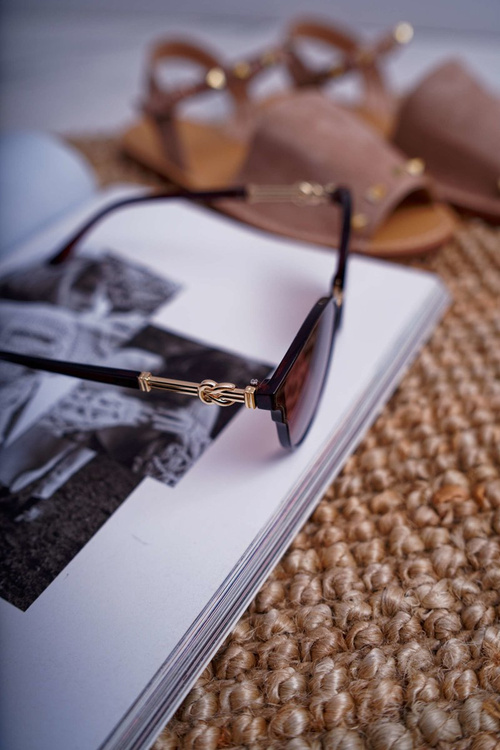 Коричневі сонцезахисні окуляри Prius PR-V06