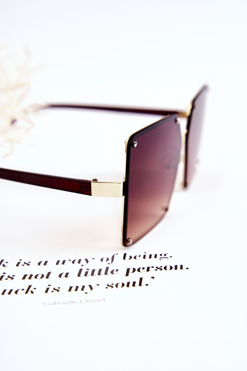 Жіночі сонцезахисні окуляри Ombre V180004 Коричневі