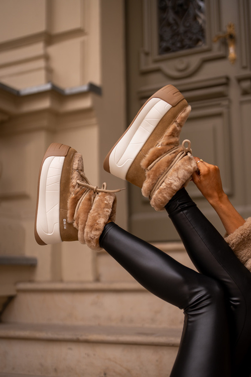 Шкіряні жіночі зимові черевики на товстій підошві з хутром Big Star OO274A207 Коричневий