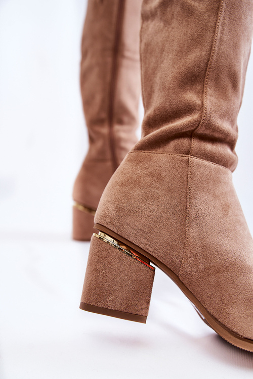 Класичні замшеві чоботи на блискавці бежеві Leyette