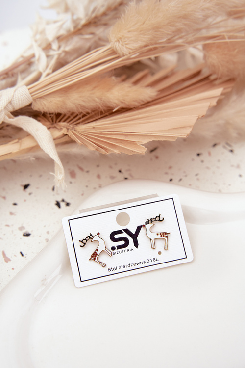 Сережки Рендері з хірургічної сталі