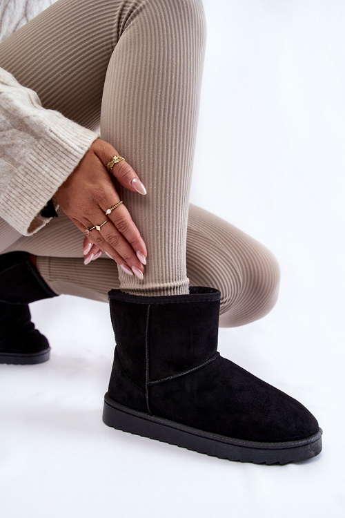 Жіночі теплі зимові черевики Black Virgina
