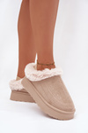 Жіночі зимові чоботи на платформі з хутром і прошивками світло бежеві Arelina