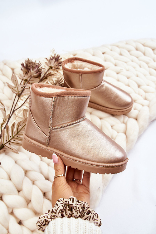 Дитячі утеплені снігові черевики Champagne Scooby