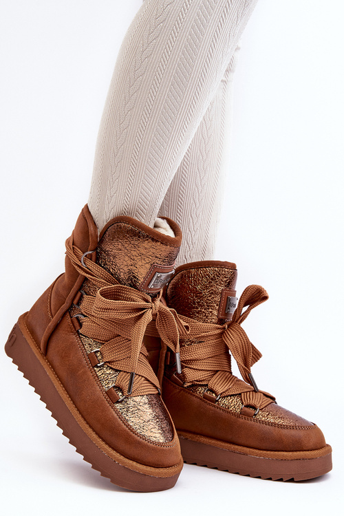 Жіночі зимові черевики зі шнурівкою D.Franklin DFSH370006 Коричневий