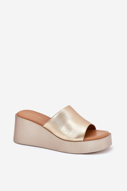 Жіночі сандалі на платформі з еко шкіри золоті Obenae