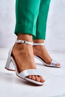 Відтінки сірого і сріблястий