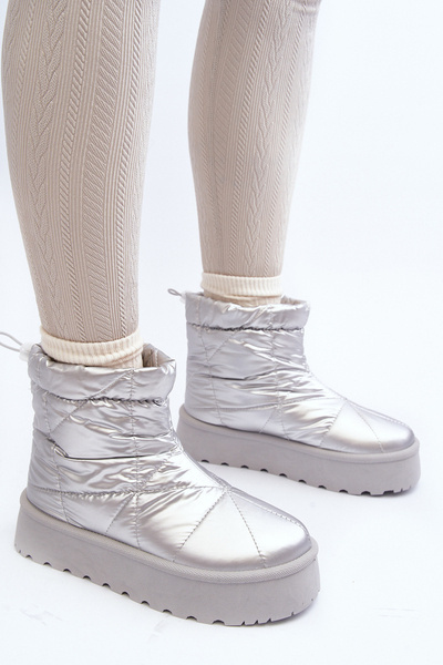 Чоботи жіночі сріблясті Fionia