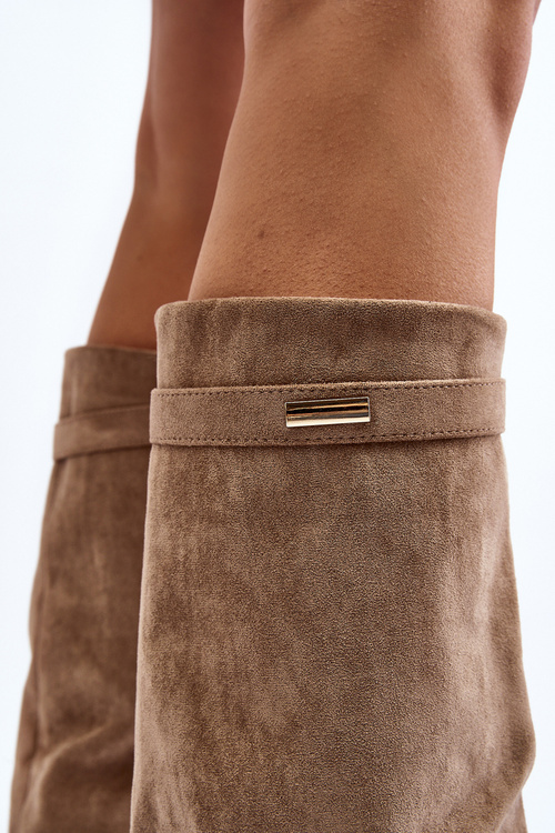 Жіночі чоботи на прихованій танкетці Бежеві Pattia