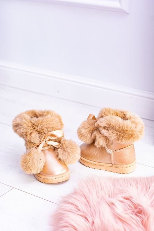 Дитячі утеплені молодіжні чоботи Champagne Roofy