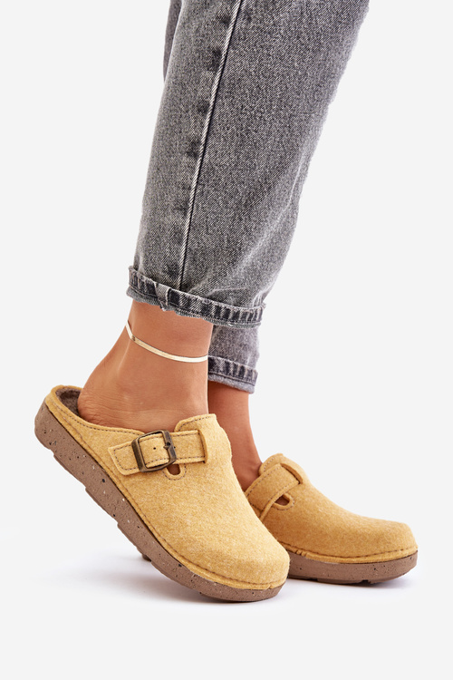 Жіночі профілактичні тапочки Inblu DJ-07-002 Бежеві