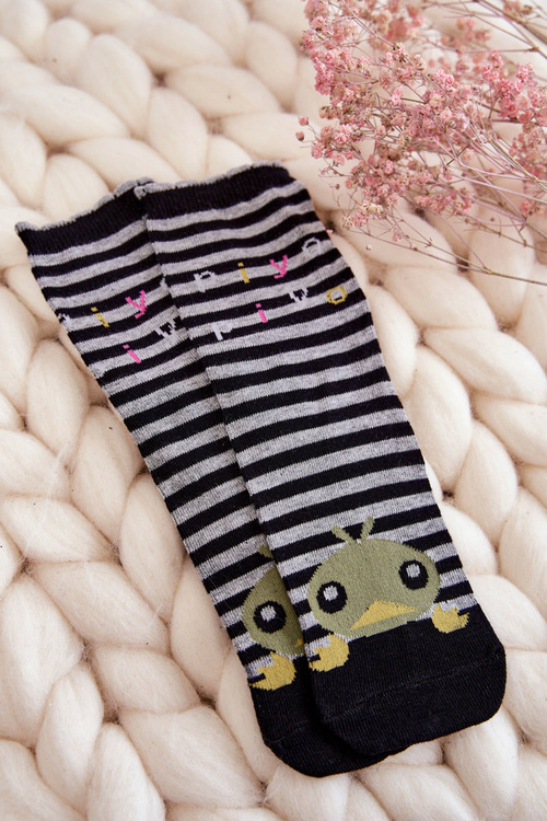 Жіночі смішні бавовняні шкарпетки 5 шт. Різнокольорові