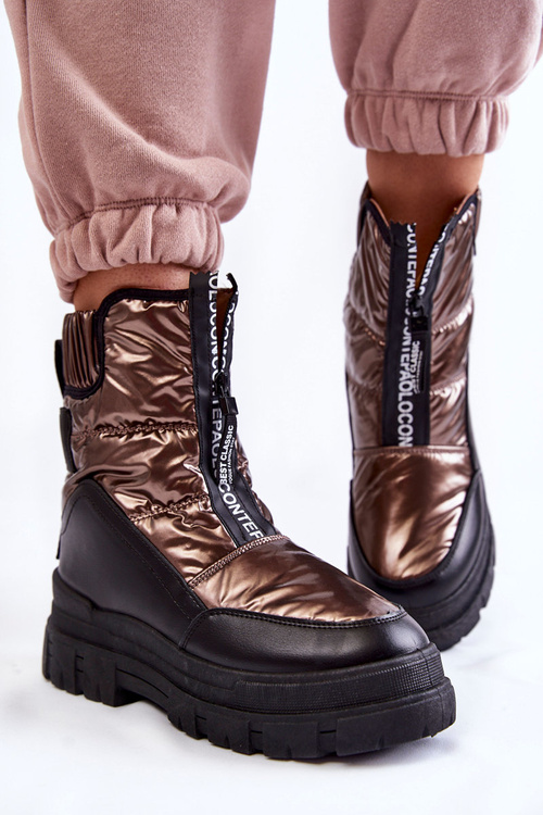 Жіночі зручні зимові черевики коричнево-чорні Elodia