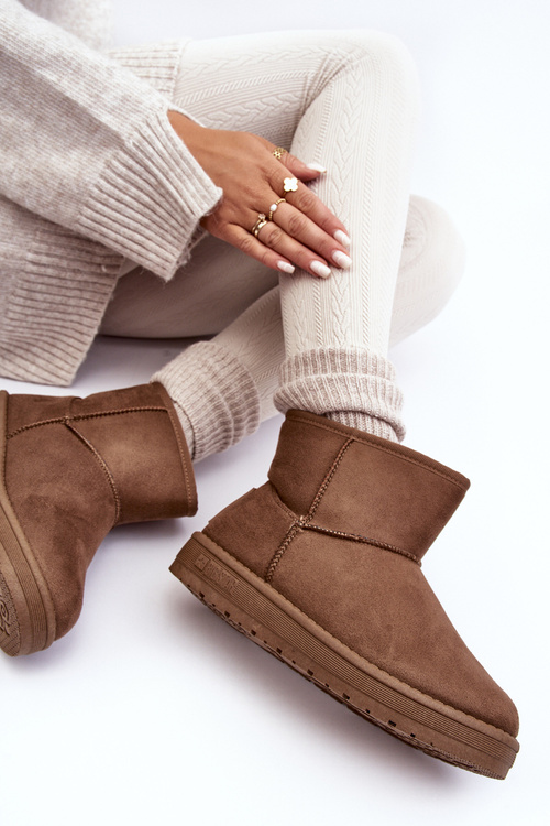 Жіночі утеплені зимові черевики з хутром коричневого кольору Big Star MM274161