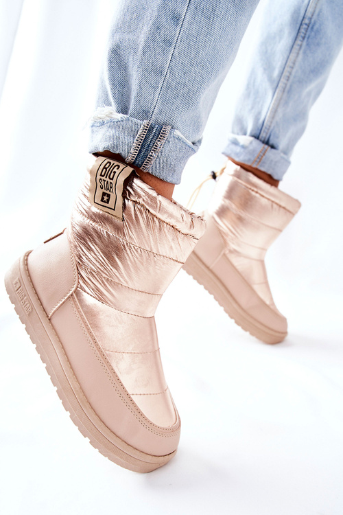 Жіночі зимові черевики Big Star II274121 Бежеві