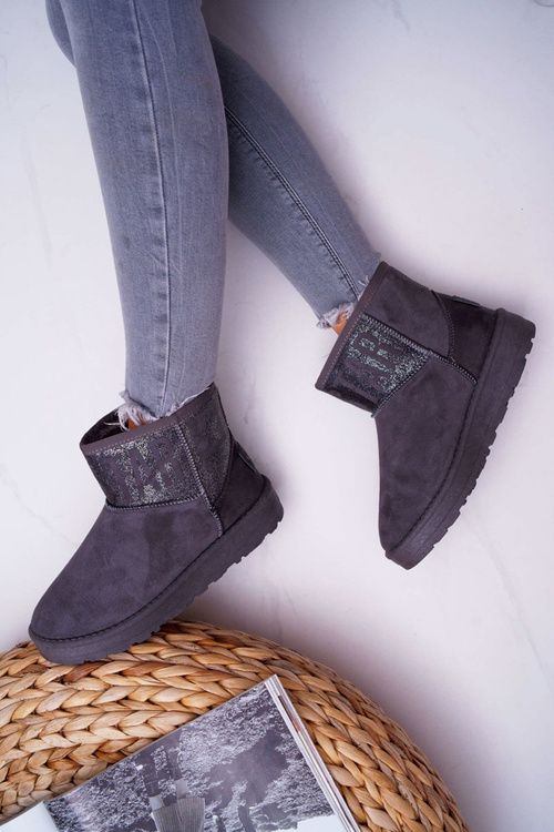 Жіночі зимові черевики утеплені сірі Big Star EE274262