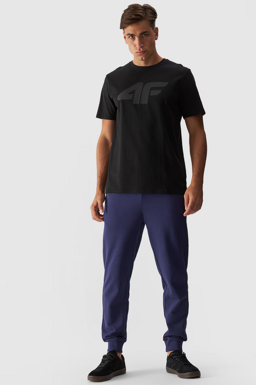 Чоловічі спортивні штани 4FWMM00TTROM0942-31S Темно-синій