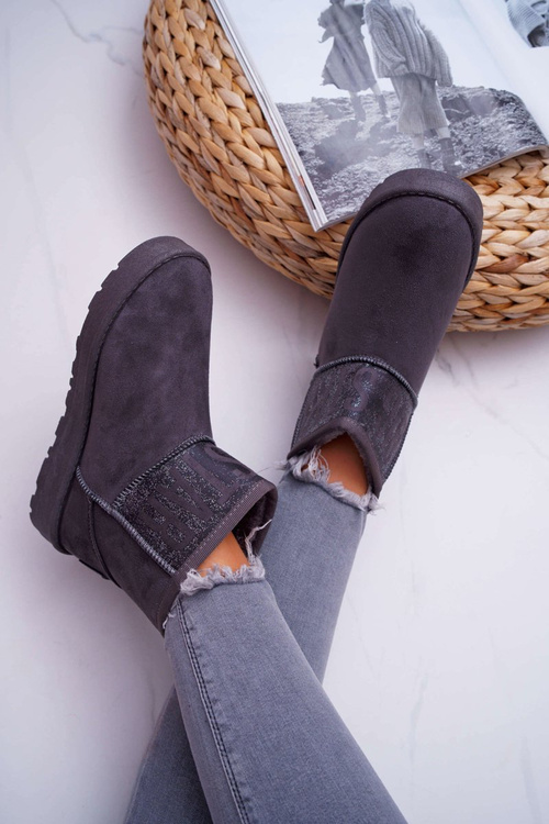 Жіночі зимові черевики утеплені сірі Big Star EE274262