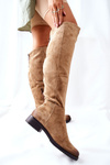 Жіночі високі чоботи на плоскому ходу бежеві Ardmore