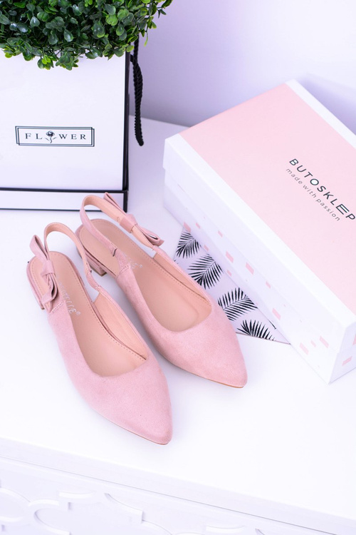 Жіночі рожеві балерини Howl з гострим носом