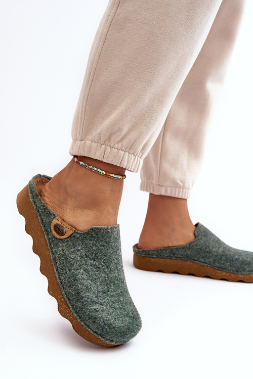 Жіноче домашнє взуття Profilactic Тапочки Inblu DK000011 Зелений