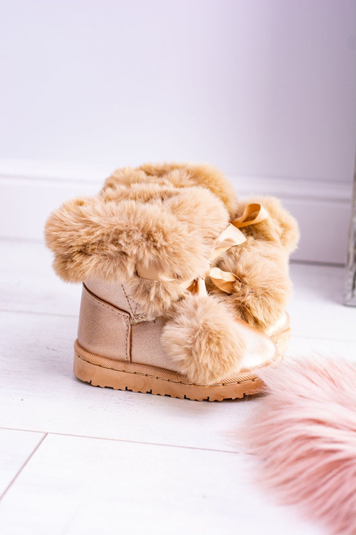 Дитячі утеплені молодіжні чоботи Champagne Roofy