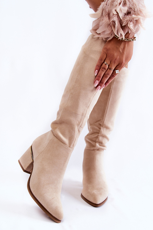 Класичні замшеві чоботи на блискавці світло-бежевого кольору Leyette