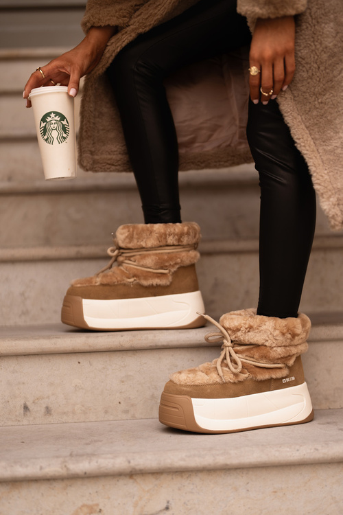 Шкіряні жіночі зимові черевики на товстій підошві з хутром Big Star OO274A207 Коричневий