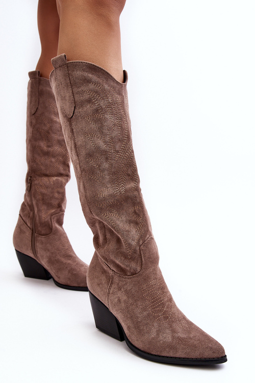 Жіночі ковбойські чоботи на каблуці темно-бежеві Sloana