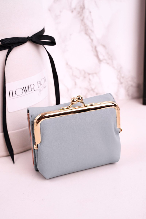 Маленький жіночий гаманець на гачку MILANO синій