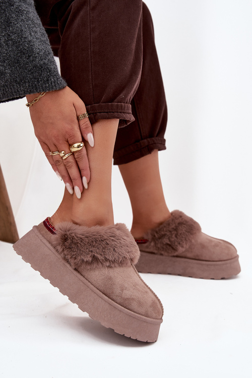 Жіночі зимові Уггі черевики на платформі з хутром і вишивкою темно-бежеві Querina