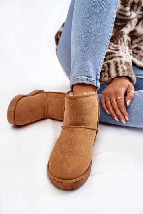 Жіночі теплі зимові черевики Яскраво-коричневі Virgina