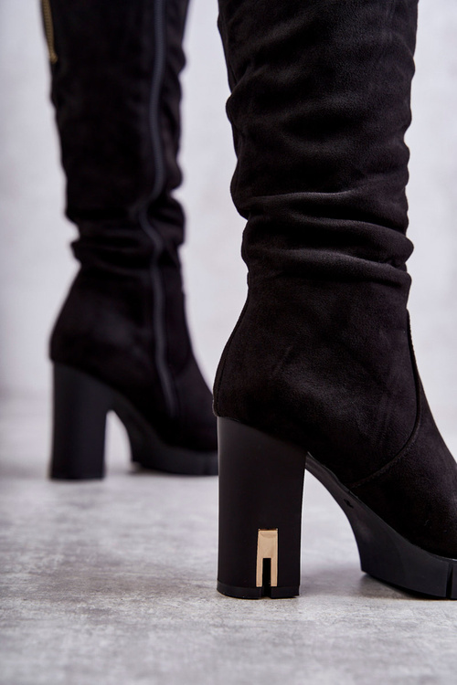 Класичні замшеві чоботи на блискавці чорні Laylah