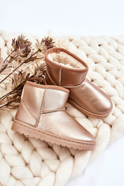 Дитячі утеплені снігові черевики Champagne Scooby