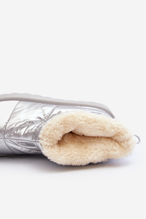 Чоботи жіночі сріблясті Fionia