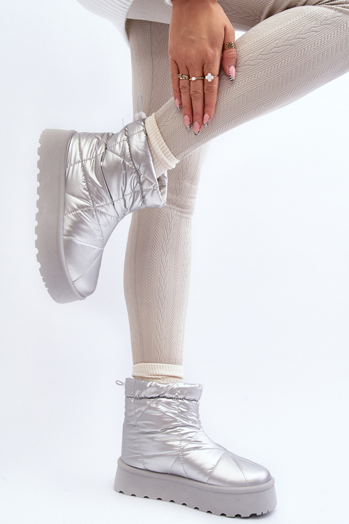 Чоботи жіночі сріблясті Fionia