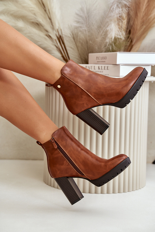 Жіночі зимові черевики на високому каблуці на блискавці Camel Bioria