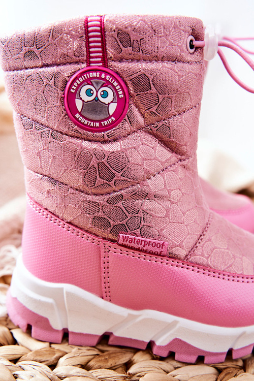 Дитячі зимові чоботи на блискавці Pink Layoth