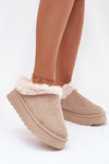 Жіночі зимові чоботи на платформі з хутром і прошивками світло бежеві Arelina