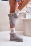 Жіночі зимові черевики на платформі утеплені хутром сірого кольору Xamella