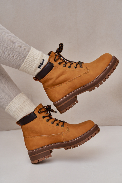 Жіночі утеплені ботильйони Big Star OO274A288 Camel