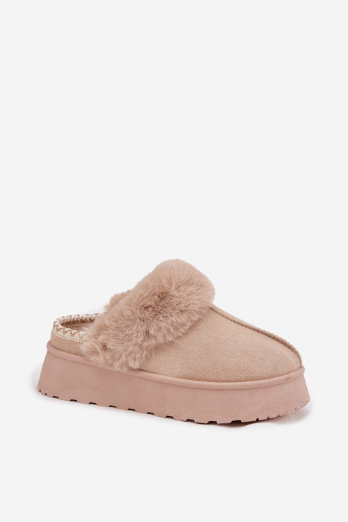 Жіночі Снігові Черевики На Платформі З Мехом Та Бляхою Бежеві Querina